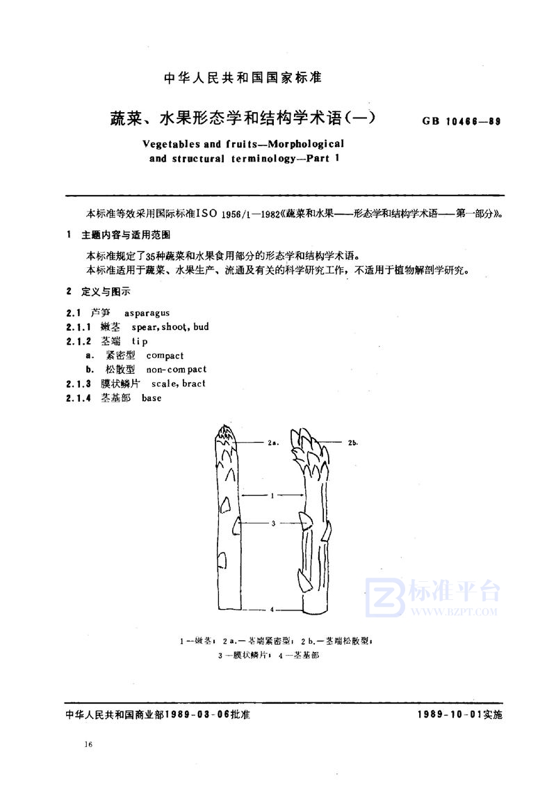 GB/T 10466-1989 蔬菜、水果形态学和结构学术语(一)