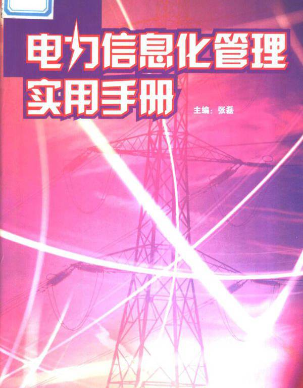 电力信息化管理实用手册 第1卷