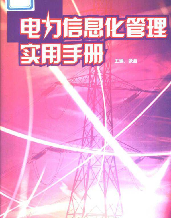 电力信息化管理实用手册 第2卷