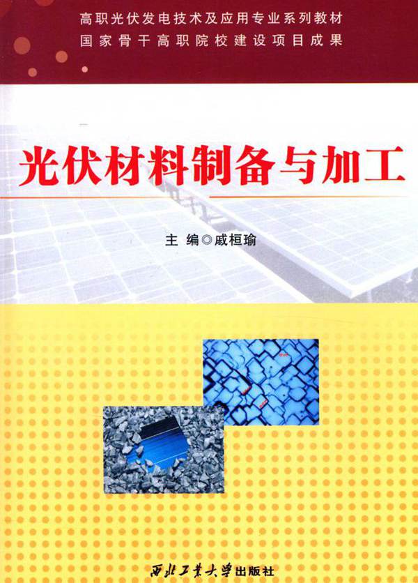 高职光伏发电技术及应用专业系列教材 光伏材料制备与加工 戚桓瑜 (2015版)