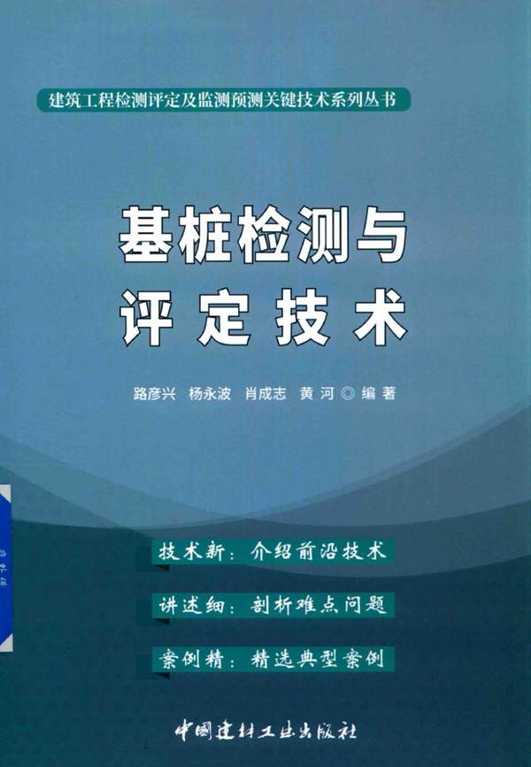 基桩检测与评定技术路彦兴 2020版