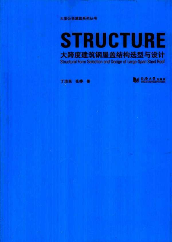 大跨度建筑钢屋盖结构选型与设计丁洁民、张峥