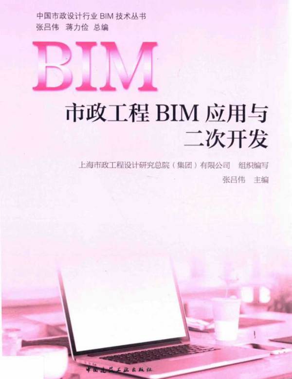 市政工程BIM应用与二次开发张吕伟 中国市政设计行业BIM技术丛书