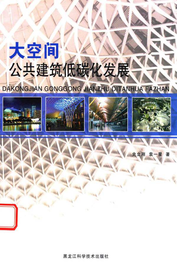 大空间公共建筑低碳化发展史立刚，袁一星 著 2015年版