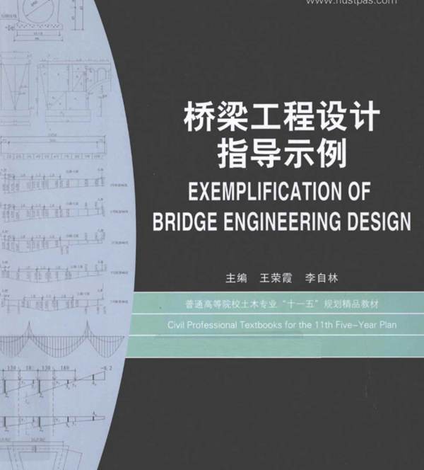 桥梁工程设计指导示例王荣霞 李自林  2011年版