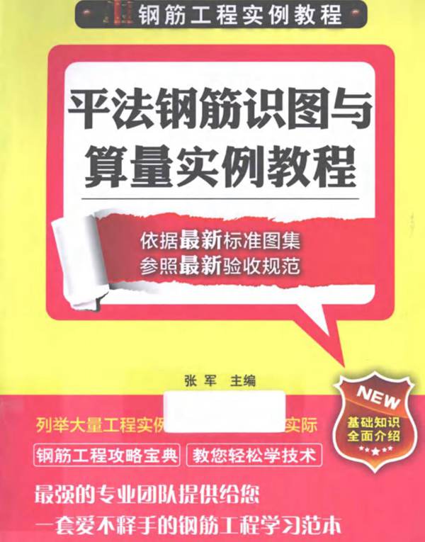 钢筋工程实例教程 平法钢筋识图与算量实例教程 张军 2013年