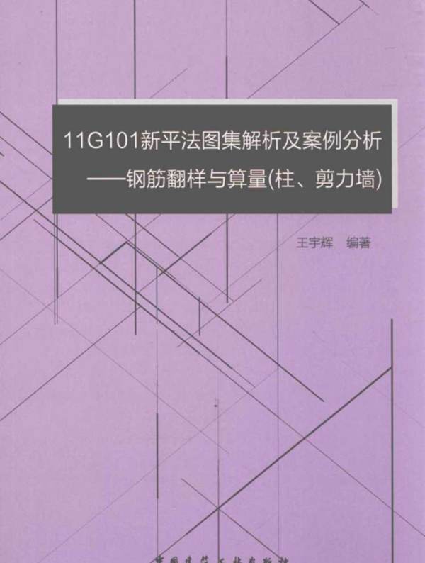 11G101新平法图集解析及案例分析：钢筋翻样与算量（柱、剪力墙） 王宁辉 编 2016年版