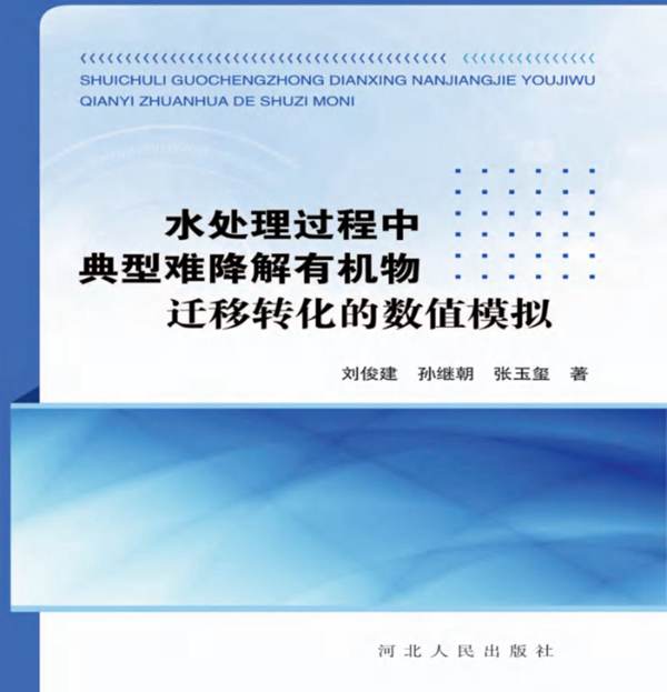 水处理过程中典型难降解有机物迁移转化的数值模拟 刘俊建，孙继朝，张玉玺 著 2015年版