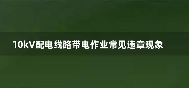 10kV配电线路带电作业常见违章现象与预防措施