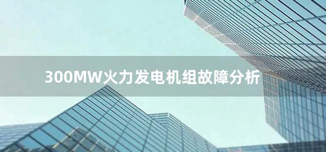 300MW火力发电机组故障分析