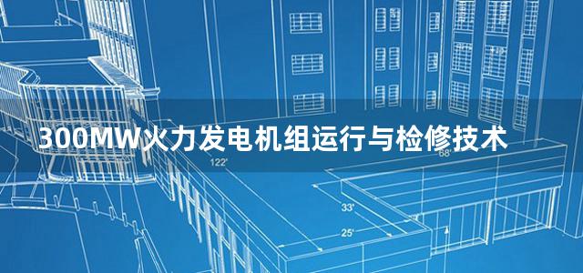 300MW火力发电机组运行与检修技术培训教材化学