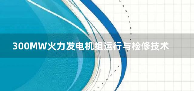 300MW火力发电机组运行与检修技术培训教材电气