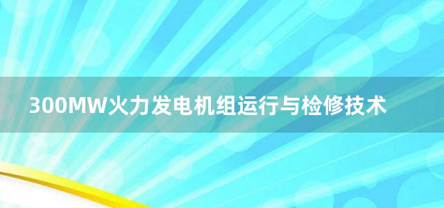 300MW火力发电机组运行与检修技术培训教材锅炉