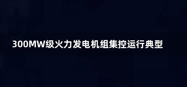 300MW级火力发电机组集控运行典型规程