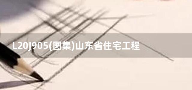 L20J905(图集)山东省住宅工程质量常见问题防控措施图集