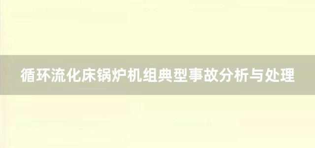 循环流化床锅炉机组典型事故分析与处理