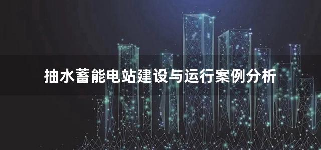 抽水蓄能电站建设与运行案例分析