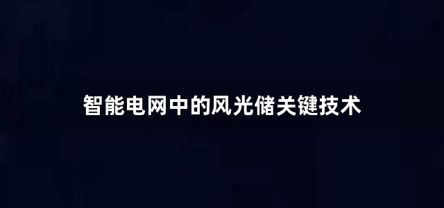 智能电网中的风光储关键技术