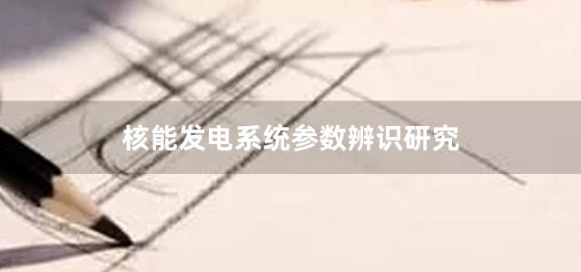 核能发电系统参数辨识研究