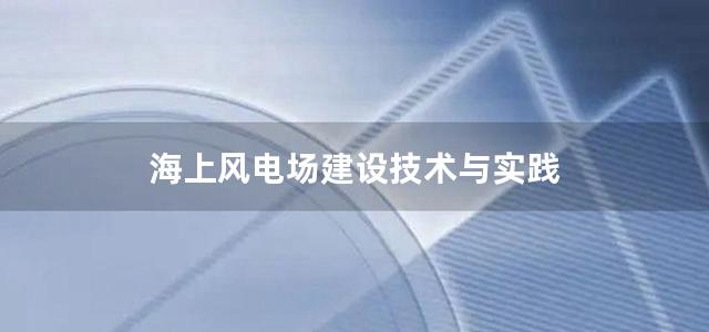 海上风电场建设技术与实践