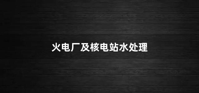 火电厂及核电站水处理