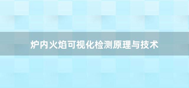 炉内火焰可视化检测原理与技术