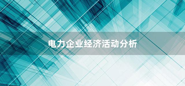 电力企业经济活动分析