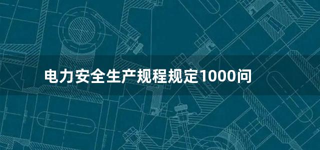 电力安全生产规程规定1000问