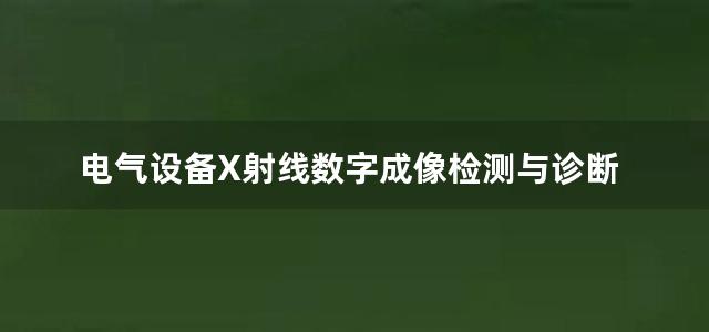 电气设备X射线数字成像检测与诊断