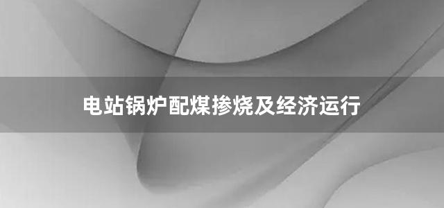 电站锅炉配煤掺烧及经济运行