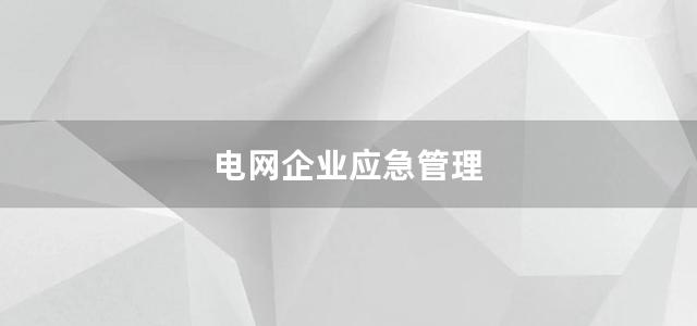 电网企业应急管理